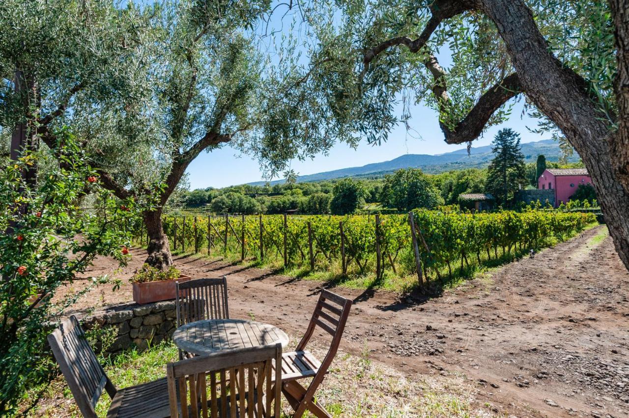 Terrazze Dell'Etna - Country Rooms And Apartments Randazzo Luaran gambar