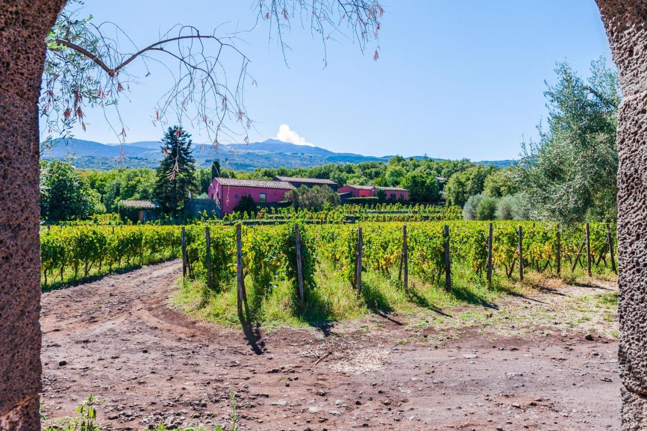 Terrazze Dell'Etna - Country Rooms And Apartments Randazzo Luaran gambar
