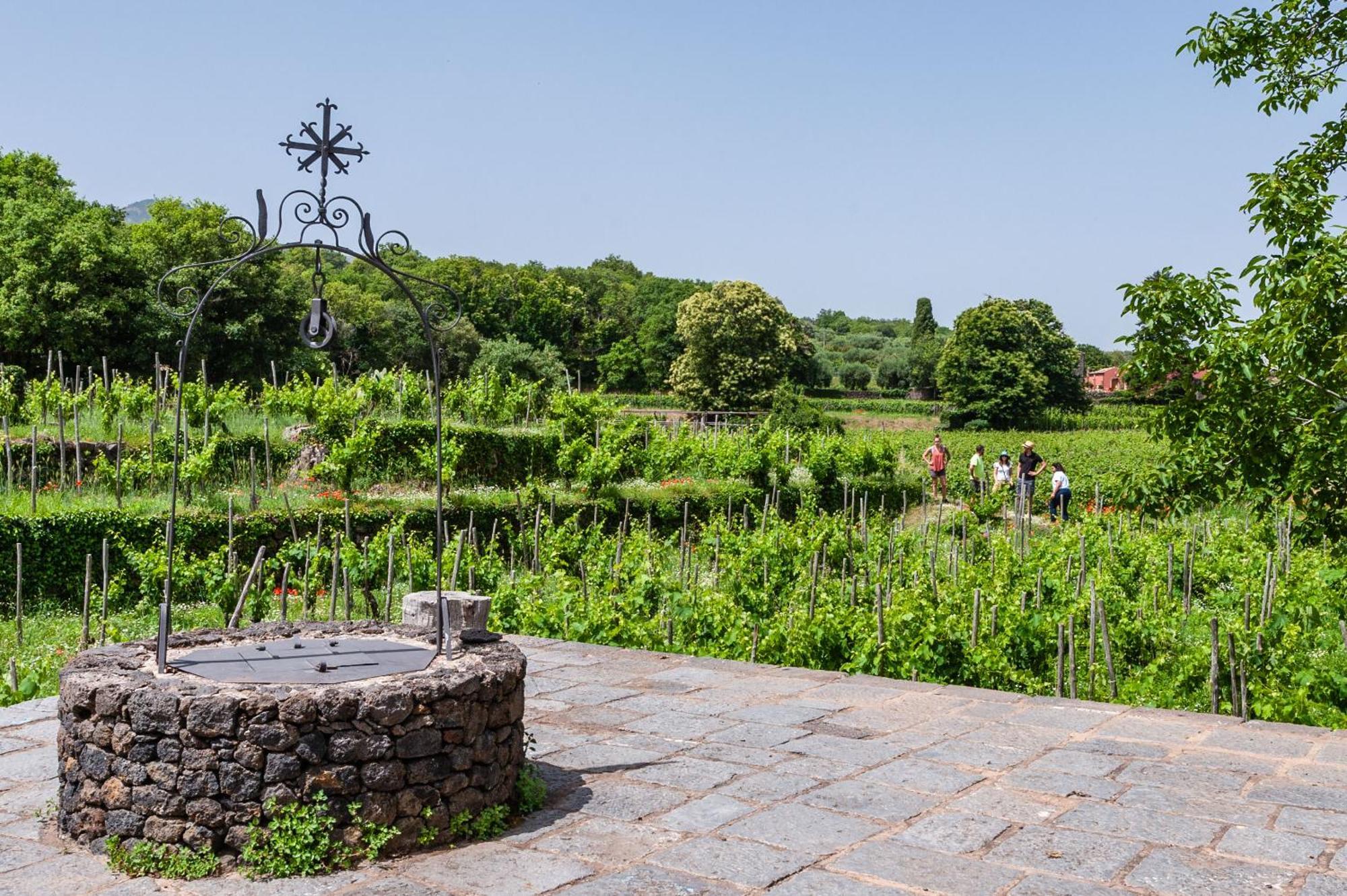 Terrazze Dell'Etna - Country Rooms And Apartments Randazzo Luaran gambar