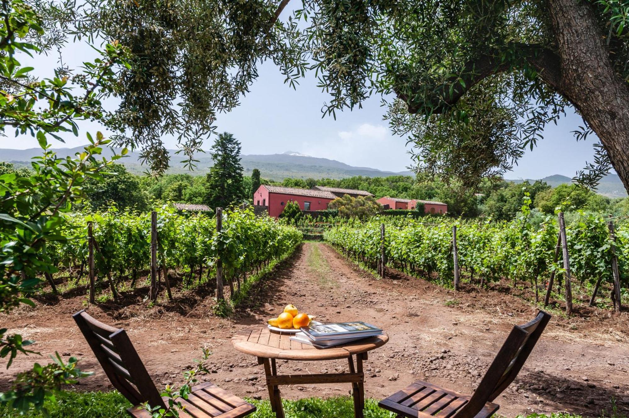 Terrazze Dell'Etna - Country Rooms And Apartments Randazzo Luaran gambar